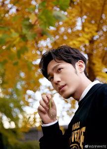 迪丽热巴白宇爆料视频,幕后真相引热议