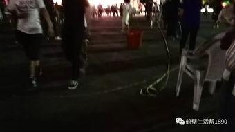 杭州老百姓爆料事件视频,揭露背后真相